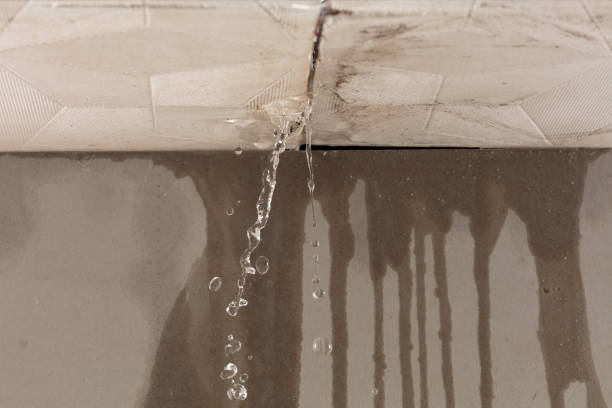 Professional Burst Pipe Cleanup technician working in Hurley, MS